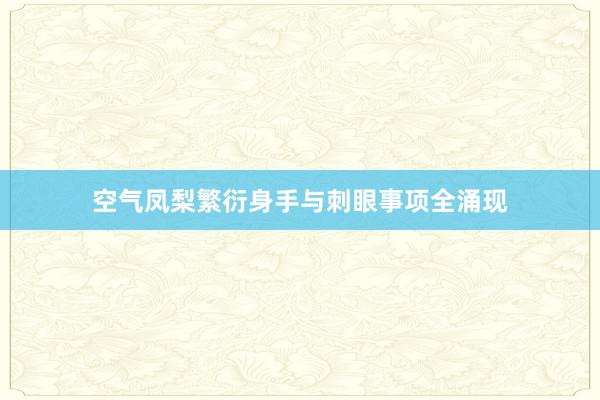 空气凤梨繁衍身手与刺眼事项全涌现