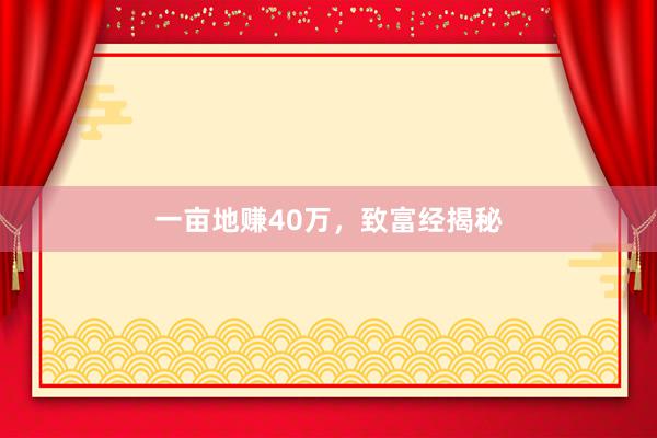 一亩地赚40万，致富经揭秘