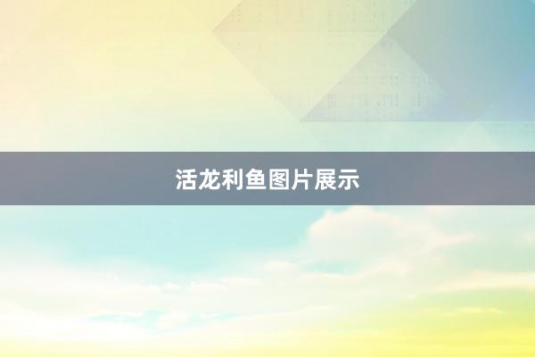 活龙利鱼图片展示